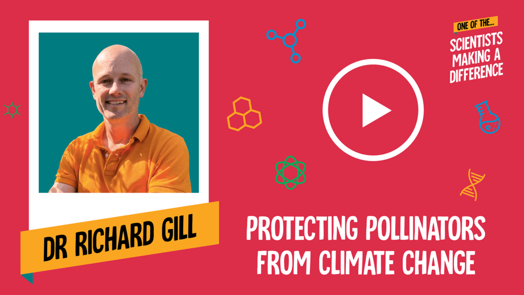 Dr Richard Gill - Protecting pollinators from climate change