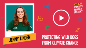Protecting Wild Dogs From Climate Change