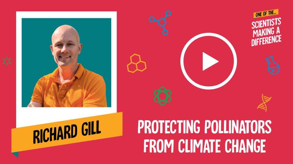Protecting Pollinators From Climate Change