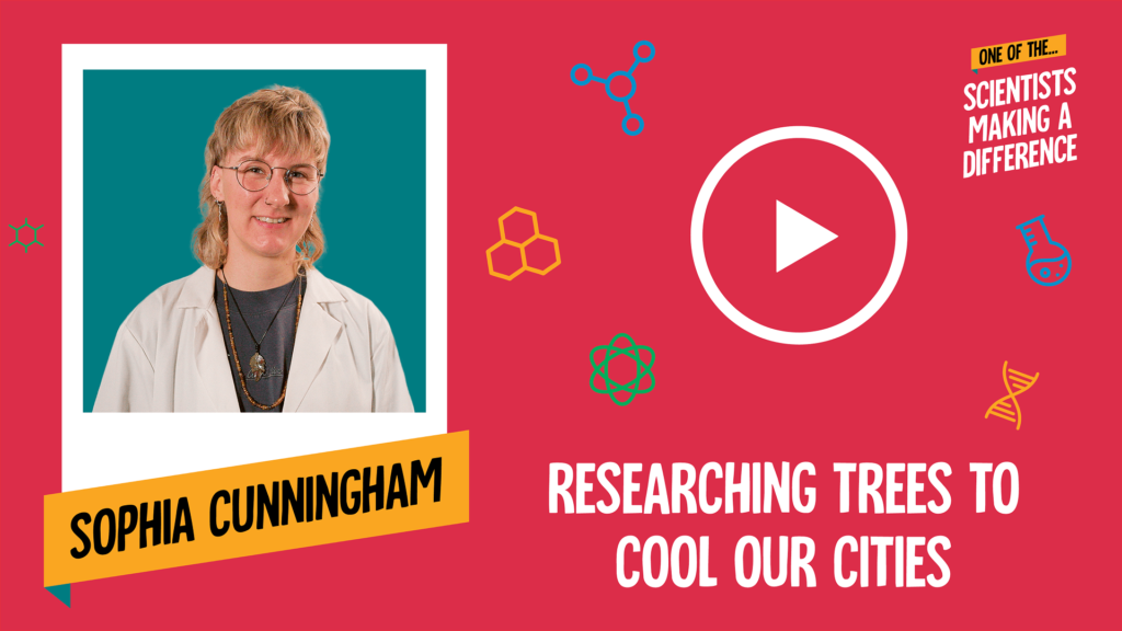 Researching Trees To Cool Our Cities